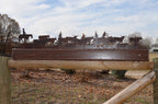 Cattle Drive Vanity Light Western Cowboy Light Rustic Western bathroom Light Evergreen or Cactus Handmade Rustic Bathroom Wall Mount Light