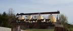 Cattle Drive Barn Wood Chandelier