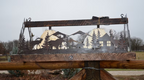 Lodge Wildlife Chandelier